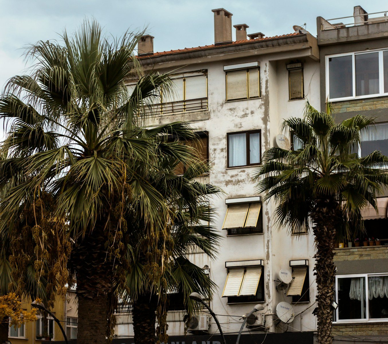 Prodala je svoj venčani prsten da plati školarinu studentu podstanaru: Deset godina kasnije, on se vratio kao vlasnik zgrade i pocepao njen nalog za iseljenje.