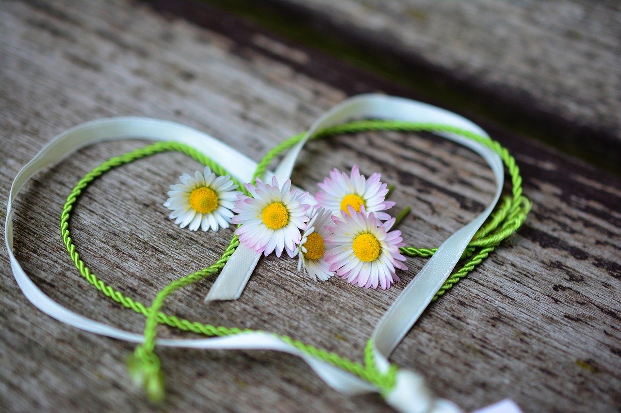 daisy, heart, romance, flower background, valentine's day, flower wallpaper, love, spring, greeting, heart-shaped, nature, friendship, symbol, love symbol, flower, pink daisy, beautiful flowers, heart shape, in love, affection, deco, bands