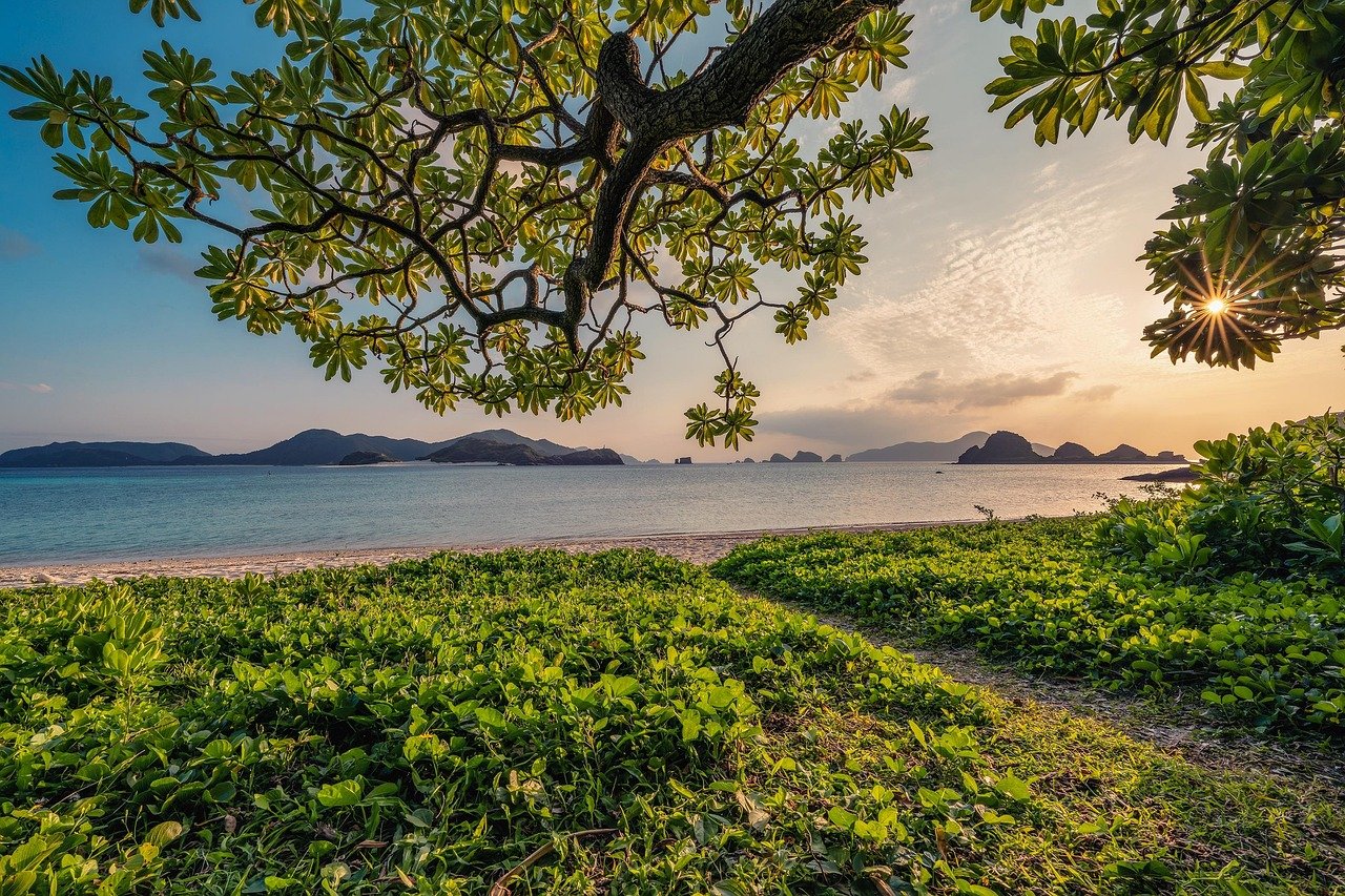 sunset, sand, beach, nature background, islands, leaf, subtropical, beautiful nature, okinawa, japan, landscape, hd wallpapers, nature, hd wallpaper, nature wallpaper