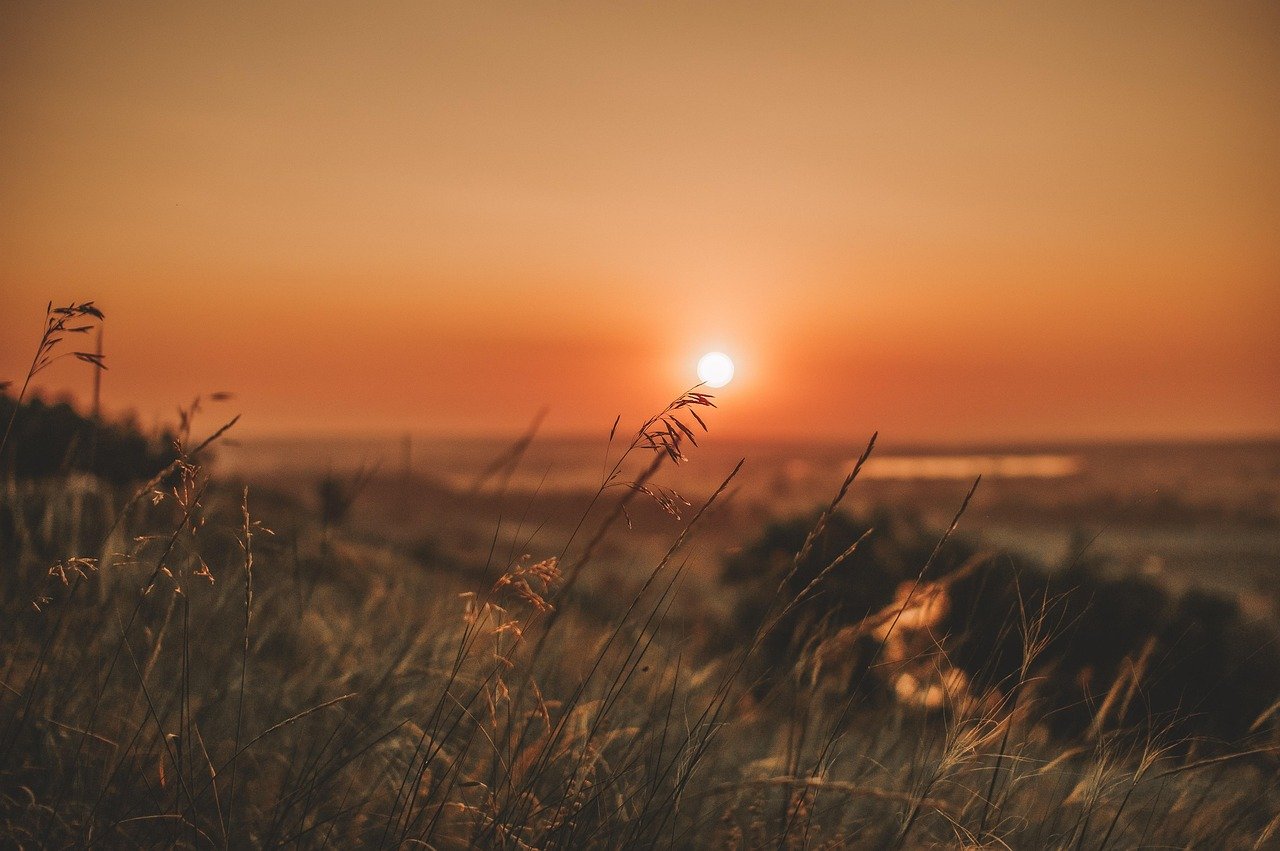 grass, sunset, field, river, summer, nature, orange, warm, sunset, sunset, sunset, sunset, sunset, summer, summer, summer, nature, nature, nature