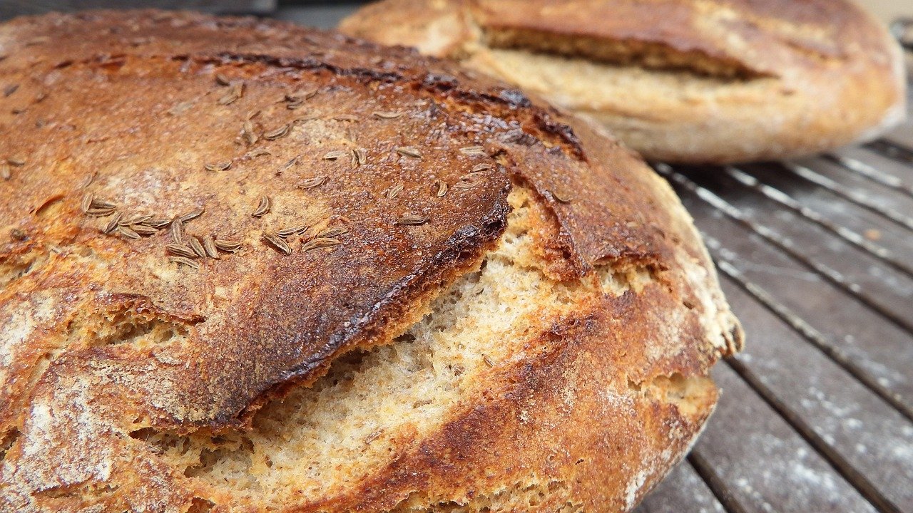 multiplied, bread, leavened, homemade, oven, wood, old procedure, multiplied, multiplied, multiplied, multiplied, multiplied