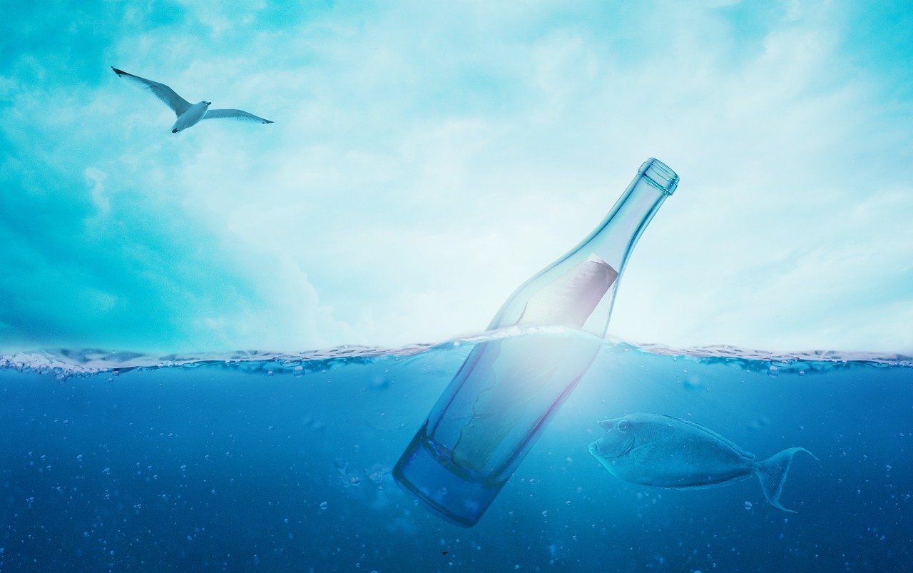 sea, message in a bottle, bottle, ocean, blue, water, seagull, sky, flying seagull, flying bird, bird, message, wave, clouds, fish, underwater, nature, horizon, sea water, swim, animal, marine life, sea, sea, sea, bottle, ocean, ocean, water, water, water, water, water, message, fish