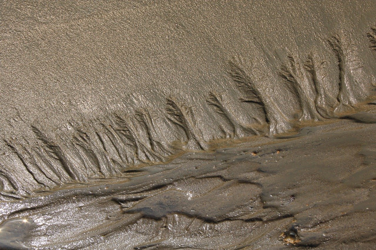 foreshore, mud, soil, nature, sand, mud flat, mud, mud, mud, mud, mud, mud flat, mud flat