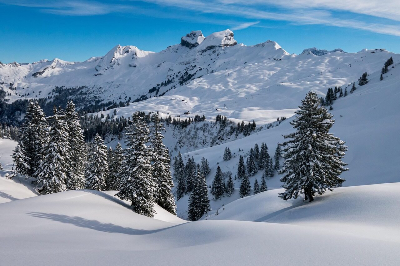 winter, hochybrig, pre-alps, swiss alps, switzerland, nature, snow, mountains, heaven, powder snow, inner switzerland, summit, fir trees, panorama, snow landscape, mythen region, winter magic, landscape, winter landscape, snow sports, ski resorts, winter, winter, winter, winter, swiss alps, switzerland, switzerland, switzerland, switzerland, switzerland, snow, snow, snow, winter landscape, winter landscape