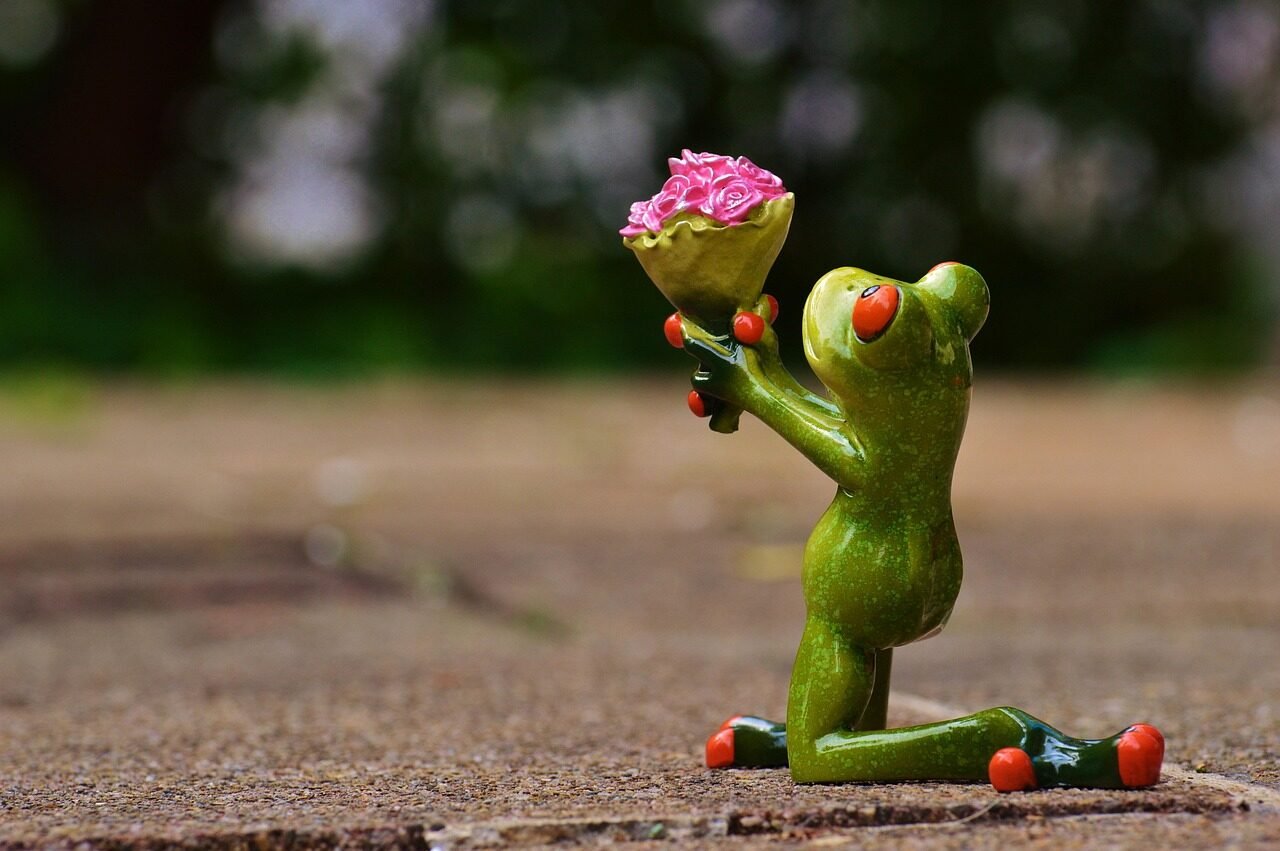 i beg your pardon, excuse me, frog, cute, beautiful flowers, fun, flower, nature, kneel down, gift, congratulation, affection, love, valentine's day, flower background, roses, flower wallpaper, pardon